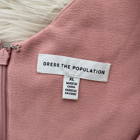 Dress The Population Sandra Blush Sleeveless Gown Dress - Picture 13 of 15